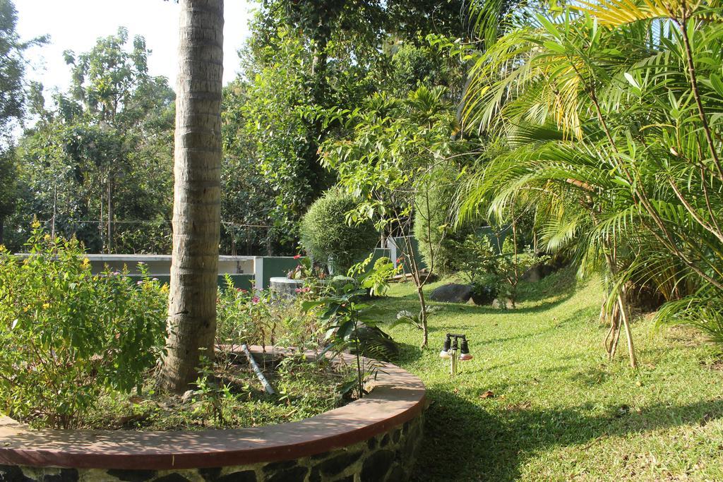 Green View Holiday Resort Kandy Eksteriør bilde